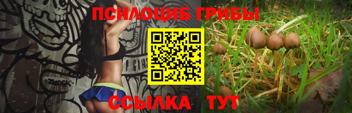 Галлюциногенные грибы прущие грибы Вышний Волочёк