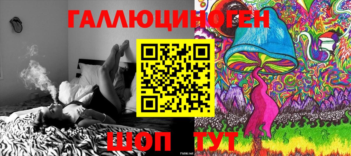 Псилоцибиновые грибы Psilocybine cubensis Вышний Волочёк