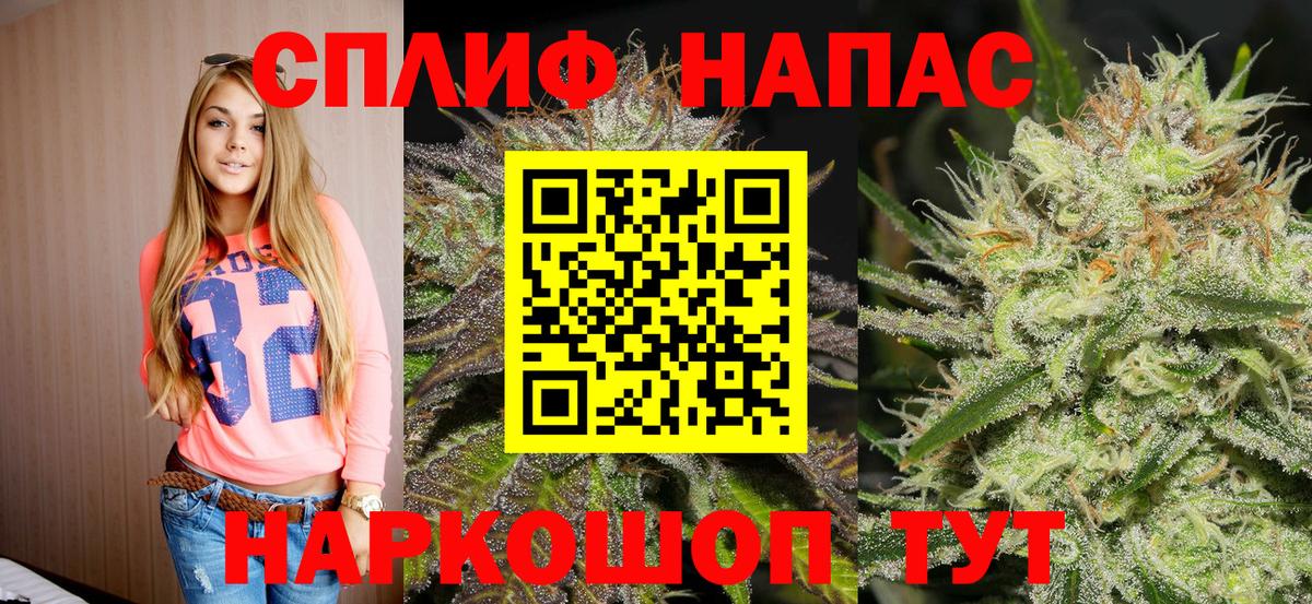 Бошки марихуана конопля Вышний Волочёк